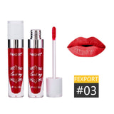 Fexport Cosmetics 12Color Fashion Liquid Matte Lipstick Longlasting Makeup Nude Longwear Lip Gloss for Wholesale Maquiagem F6101